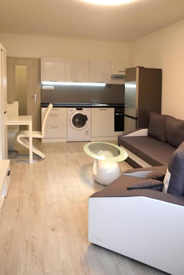 Utulny Apartman V Centru, S Krasnym Vyhledem Дечин Экстерьер фото
