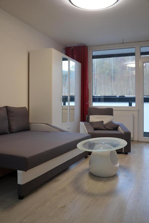 Utulny Apartman V Centru, S Krasnym Vyhledem Дечин Экстерьер фото