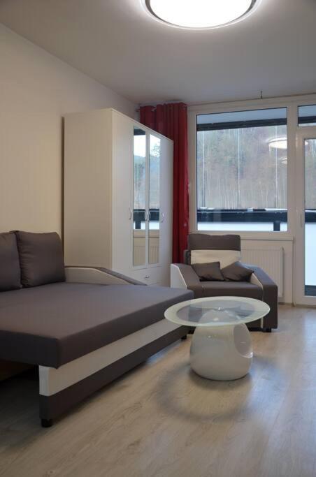 Utulny Apartman V Centru, S Krasnym Vyhledem Дечин Экстерьер фото
