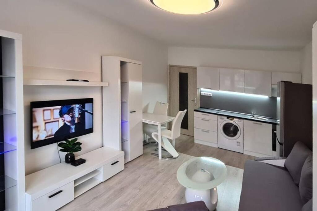 Utulny Apartman V Centru, S Krasnym Vyhledem Дечин Экстерьер фото